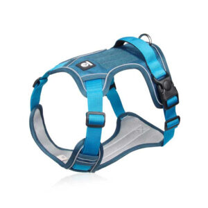 Arnes wonder dog doumm S