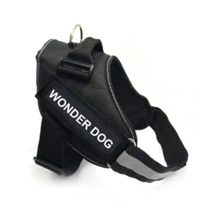Arnes wonder dog diseño