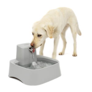 Fuente para perro